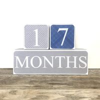Sweet Sage Studio Wooden Baby Milestone Blocks - 3 Color Styles - Best Baby Age Photo Props, Wooden Age Blocks, Baby Photography Props, Nursery Decor