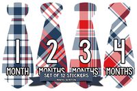 Months In Motion Monthly Baby Tie Stickers - Boy Month Milestone Necktie Sticker - Shower Gift - Photo Prop - Infant Keepsakes - Plaid
