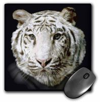 3dRose LLC 8 X 8 X 0.25 Inches Mouse Pad, White Tiger Full Head Painting in Digital Oils (mp_36130_1)