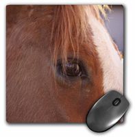 3dRose LLC 8 X 8 X 0.25 Inches Horse Mouse Pad (mp_23698_1)
