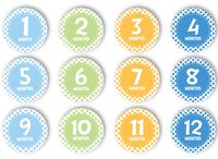 Tiny Ideas First Year Monthly Milestone Photo Sharing Baby Belly Stickers, 1-12 Months, Blue
