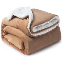 Bedsure Sherpa Fleece Blanket Throw Size Taupe Plush Throw Blanket Fuzzy Soft Blanket Microfiber
