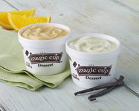 Hormel Healthlabs Magic Cup Fortified Nutrition Dessert Cup Variety Pack (Vanilla, Chocolate, Butter Pecan, Wild Berry, Orange Creme & Vanilla No Sugar Added) 4 ounces (Pack of 24)