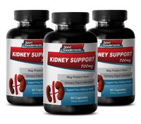 Wellness core - Kidney Support - antioxidant Vitamins - 3 Bottles (180 Capsules)