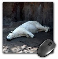 3dRose LLC 8 x 8 x 0.25 Inches Mouse Pad, Sleeping Polar Bear (mp_17535_1)