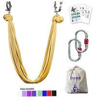 Aerial Yoga Hammock 5.5 Yards Premium Aerial Silk Fabric Yoga Swing for Antigravity Yoga Inversion Include Daisy Chain,Carabiner and Pose Guide (Gold)
