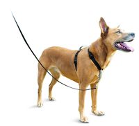 PetSafe 3in1 Harness, from The Makers of The Easy Walk Harness, Fully Adjustable No-Pull Dog Harness