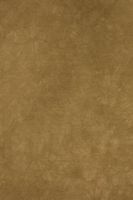 Backdrop Alley Dusty Gold Crush Muslin Photo Background, 10' x 24'