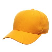 Zephyr Mens DH Fitted Hat, Gold, 7 1/8