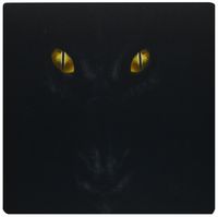 3dRose Image of Close Up of Black Dragon Face with Yellow Eyes Mouse Pad (mp_171636_1)