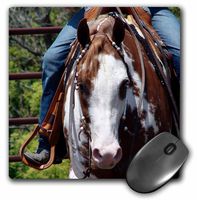 3Drose LLC 8 X 8 X 0.25 Inches Mouse Pad, Pinto Western Horse by Angelandspot (Mp_108284_1)