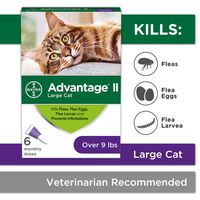 Flea Prevention for Cats Over 9 lbs, 6 Pack, Advantage II