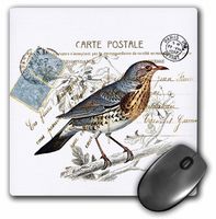 3dRose LLC 8 x 8 x 0.25 Inches Mouse Pad, Carte Postale Vintage Bird (mp_178816_1)