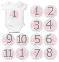 Gift Set of 12 Round Keepsake Photography Monthly Baby Stickers with Pink and Gray Elephants MOSG044