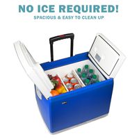 Wagan EL6244 Blue 46 Quart 12V Thermoelectric Cooler/Warmer Car Fridge
