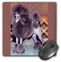 3dRose LLC 8 x 8 x 0.25 Inches Standard Poodle Mouse Pad (mp_367_1)