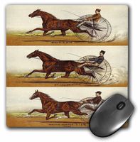 3dRose LLC 8 x 8 x 0.25 Inches Mouse Pad, Old Time Harness Racing (mp_58546_1)