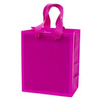 Hallmark 6" Small Gift Bag (Hot Pink) for Birthdays, Bridal Showers, Baby Showers, Easter, Mothers Day or Any Occasion