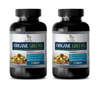 Immune System Booster - Greens Premium Organic Complex - Ginger Extract Bulk Supplements - 2 Bottles 120 Tablets