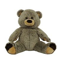 BEAREGARDS.COM Recordable Brown Grizzly Bear with 30 Second Digital Recorder