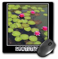 3dRose LLC 8 x 8 x 0.25 Inches Mouse Pad, Zen Gratitude Lily Pads and Lotus Flowers Spirituality Motivational (mp_29477_1)
