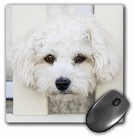 3dRose 1 Durable Mouse Pad (mp_261457_1)