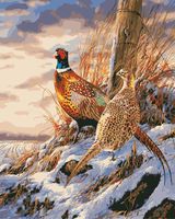 Diy 5D Diamond Painting By Number Kit For Adult, Full Drill Diamond Kit Home Wall Decor-7.9X9.8" - Pheasant(Frameless)