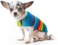 Baja Ponchos Dog Clothes - Handmade Dog Poncho from Authentic Mexican Blanket (No Fringe, X-Small)