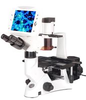BIM500FLD Digital LCD Inverted Epi-Fluorescnce Biological Microscope