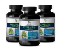 Brain and Memory Supplements - Asparagus Young Shoots Extract 600MG - Premium 4:1 Extract - Digestive Vitamins for Women - 3 Bottles 300 Capsules