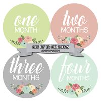 Months In Motion Baby Month Stickers - Monthly Milestone Sticker for Girl - Onesie Month Sticker - Infant Photo Prop for First Year - Shower Gift - Newborn Keepsakes - Baby Gift Registry - Floral