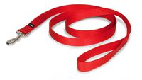 PetSafe Nylon Leash, 1" x 6', Red