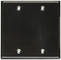 Seismic Audio SA-PLATE15 Stainless Steel Blank Gang Wall Plate