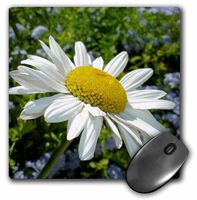 3dRose LLC 8 x 8 x 0.25 Inches Flower Daisy Mouse Pad (mp_21392_1)