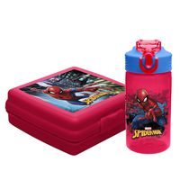 Zak Designs SDNU-9575 Marvel Comics Kid's Lunch Sets