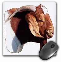 3dRose LLC 8 x 8 x 0.25 Inches Mouse Pad, Boer Doe Goat Head (mp_1260_1)