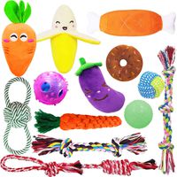 MLCINI Dog Toys Plush Dog Squeaky Toys Rope Dog Toy,Dog Ball, Dog Toy Pack,Dog Toys for Medium Large Small Dogs Dog Gifts 10 Set with Bonus Storage Bag Great Value Multiple Pack (for Small Dogs)