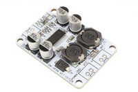 NOYITO 30W TPA3110 PBTL Mono Digital Amplifier Board AMP Module DC 8 to 26V