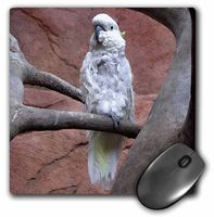 3dRose LLC 8 x 8 x 0.25 Inches Cockatoo Mouse Pad (mp_12201_1)
