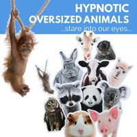 Animal Laptop Stickers - Waterproof, Large, Cute Decals - Laptop, Water Bottle, Skateboard - Aesthetic Included: Panda Hamster Monkey Bunny Cow Otter Owl Pig Giraffe Llama Koala Racoon