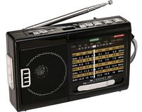 QFX R-39 Am/FM/Sw 10 Band Radio with Flashlight and USB/TF Player