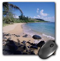 3dRose LLC 8 X 8 X 0.25 Inches Papaa Bay, Kauai, Hawaii Douglas Peebles Mouse Pad (mp_89627_1)