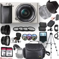 Sony Alpha a6000 (Silver) E-Mount Mirrorless Camera with E 16-50mm f/3.5-5.6 OSS Lens + Professional Accessory-Kit Bundle