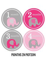 Months in Motion Baby Monthly Stickers - Baby Milestone Stickers - Newborn Girl Stickers - Month Stickers for Baby Girl - Baby Girl Stickers - Newborn Monthly Milestone Sticker (Style 246)