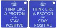 3dRose Think Like a Proton and Stay Positive, Blue, Science Teacher Key Chains, Set of 2 (kc_173353_1)