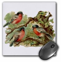 3dRose LLC 8 x 8 x 0.25 Inches Mouse Pad, Vintage Victorian Bird Illustration Three Red Robins on a Tree (mp_104678_1)