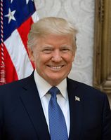Donald J. Trump Photograph - Historical Artwork from 2017 - US President Portrait - (11" x 14") - Matte