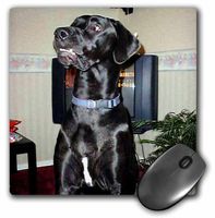 3dRose LLC 8 x 8 x 0.25 Inches Black Great Dane Mouse Pad (mp_967_1)
