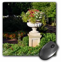 3dRose LLC 8 x 8 x 0.25 Inches Mouse Pad, A Decorative Flower Arrangement in Big Pot (mp_157323_1)