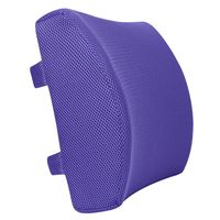 LoveHome Memory Foam Lumbar Support Back Cushion With 3D Mesh Cover Balanced Firmness Designed for Lower Back Pain Relief- Ideal Back Pillow for Computer/Office Chair, Car Seat, Recliner etc. (Violet)